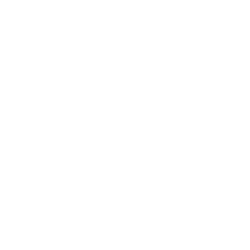 Ammo depot store LLC